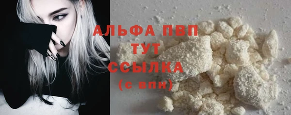 стаф Магадан