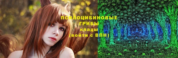стаф Магадан