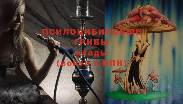 стаф Магадан