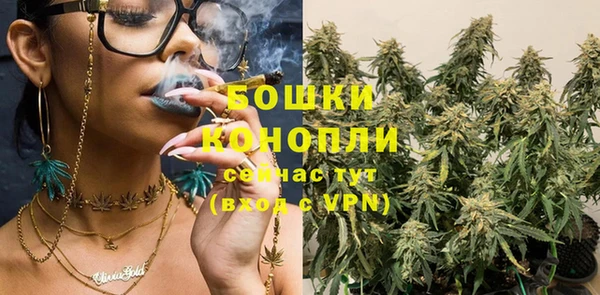 стаф Магадан
